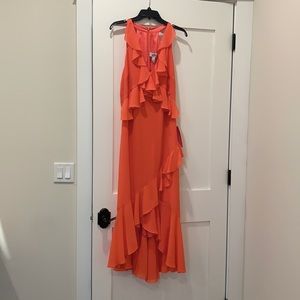 Belle Badgley Mischka Dress